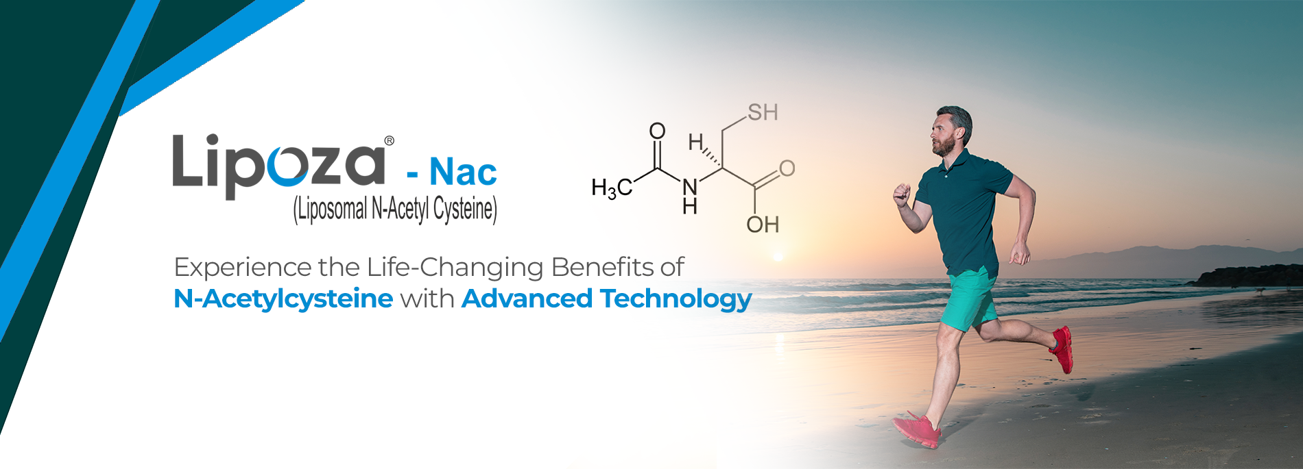 Collagen NAC