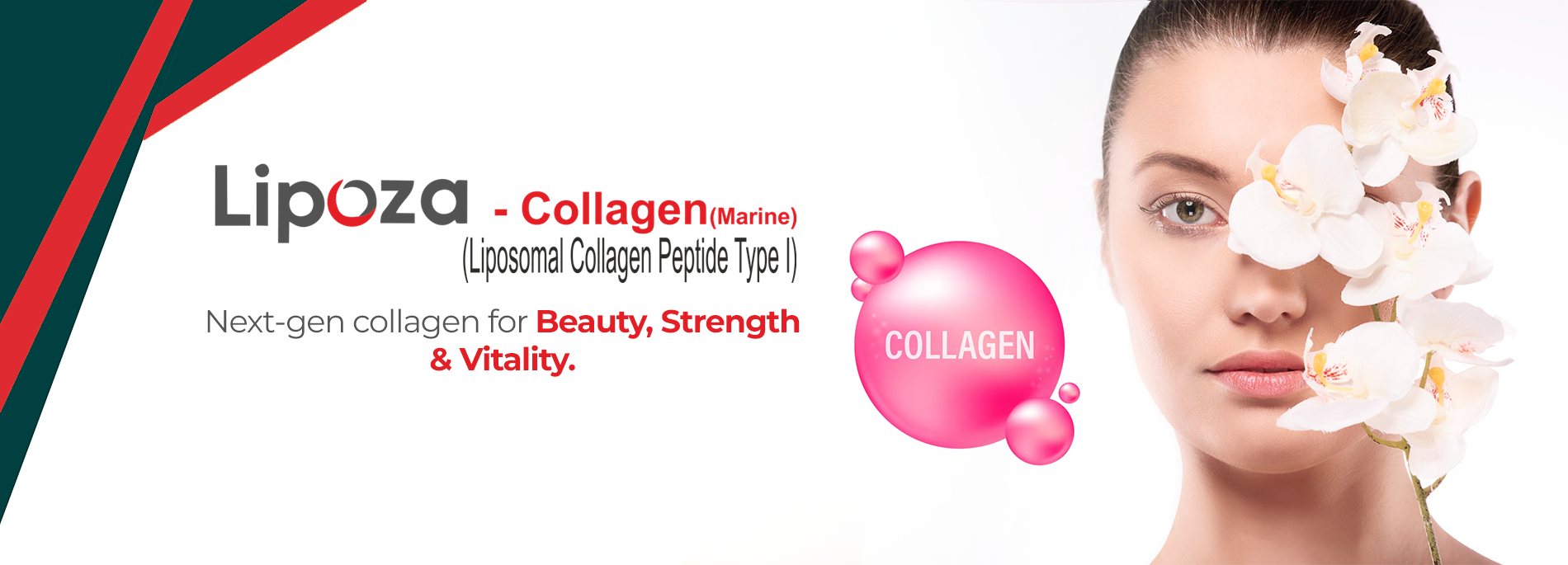 Collagen